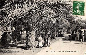 ARZEW 017